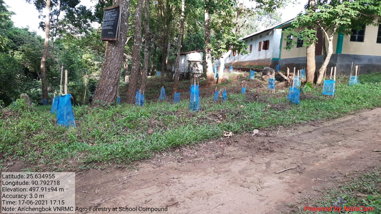 Anchengbok Agroforestry